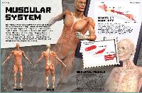 item1
